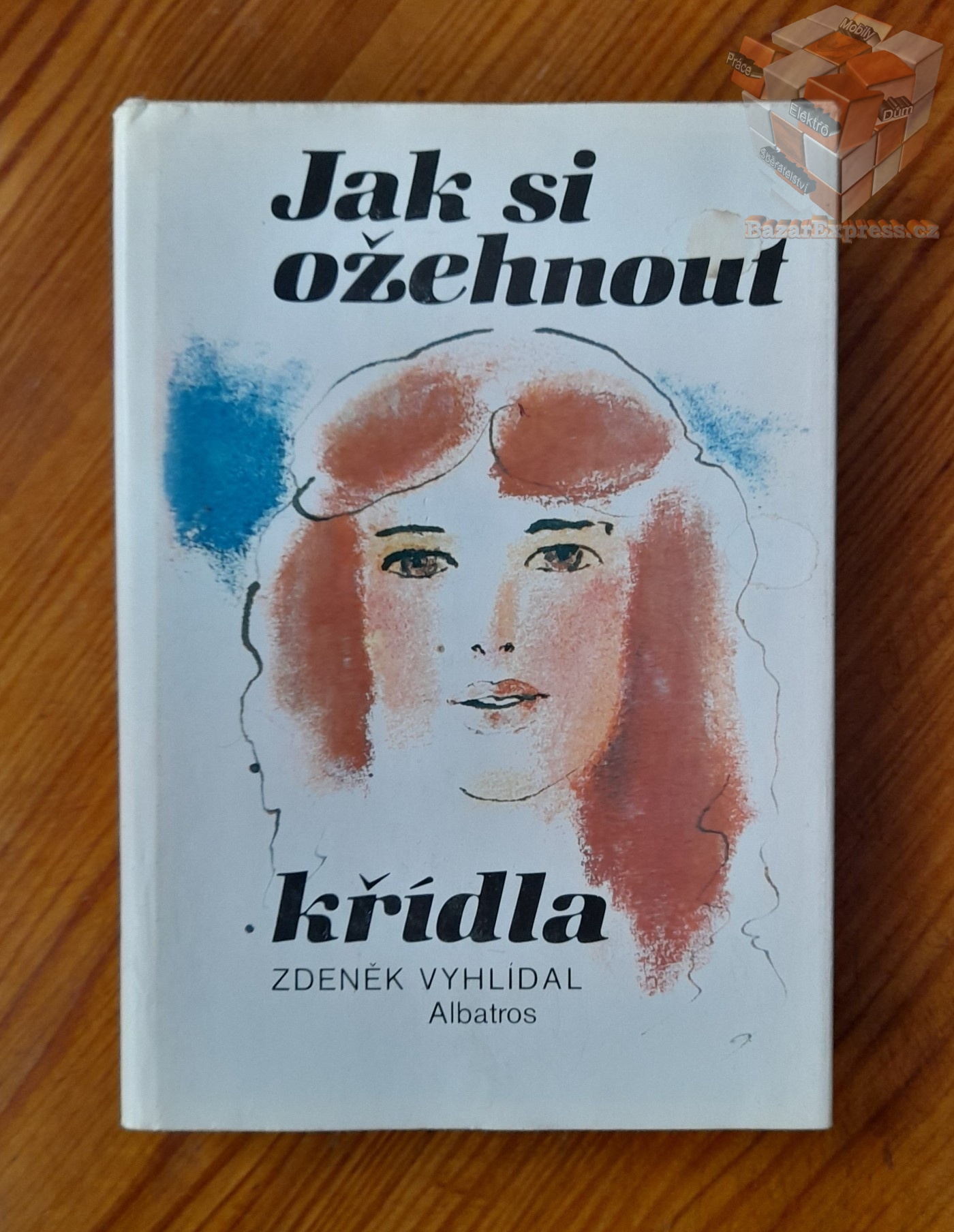 Zd. Vyhlídal - Jak si ožehnout křídla (od 14 let)