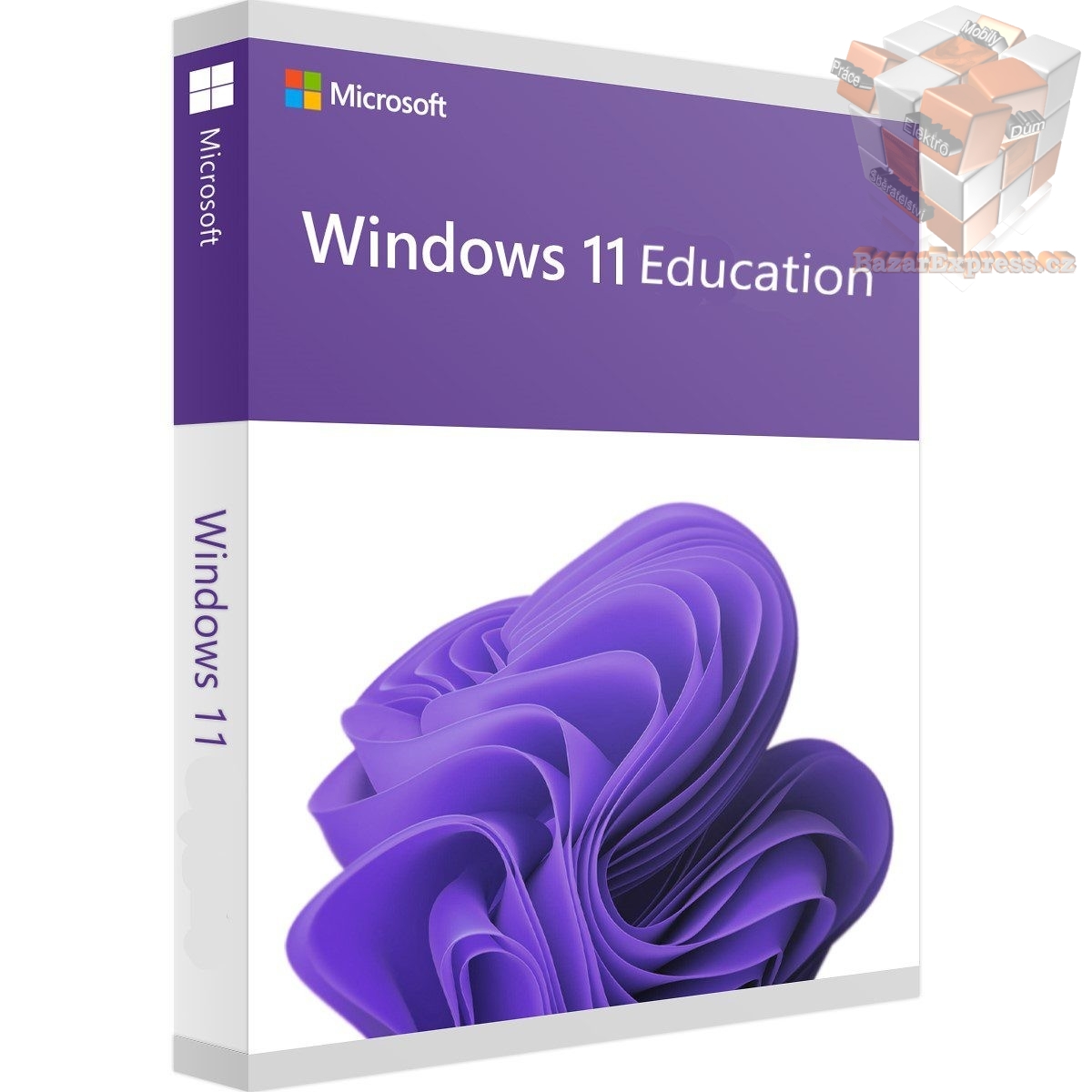 Windows 11 Pro pro pracovní stanice