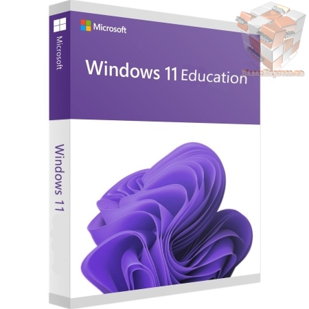 Windows 11 Pro pro pracovní stanice