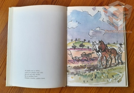 Máš Sedláčku pěkný koně